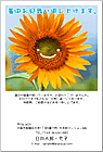 ���渫�񤤤Ϥ��� SC-100045