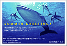 ���渫�񤤤Ϥ��� SC-100072