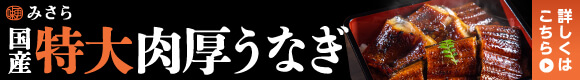 みさら　国産特大肉厚うなぎ