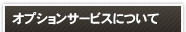 オプションサービスについて