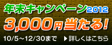 年末キャンペーン　3,000円当たる！