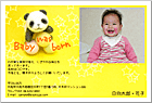 写真タイプ_出産報告はがき BP-161