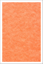 WTAC-003