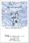 クリスマスはがき XC-024